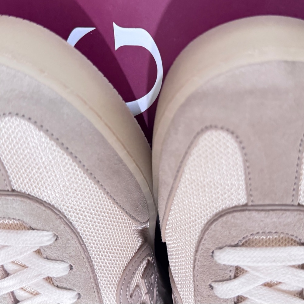 Gucci G75 in Oatmeal Suede Mens Sneakers - Picture 14 of 16